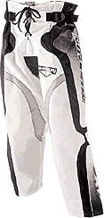pnt_ic2.gif (7937 bytes)